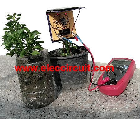 we test Simple solar plant watering alarm it works very well