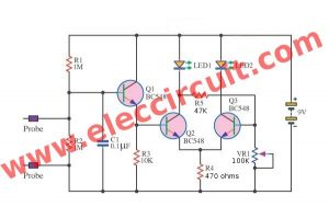 Lie detector circuit