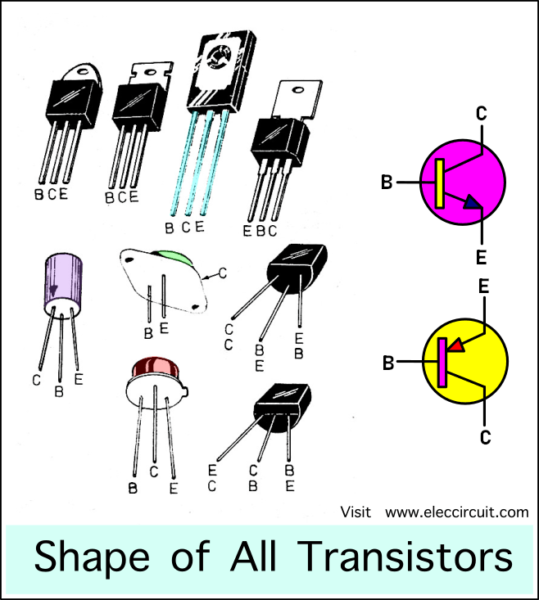 shape of all transistors