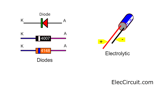 polarized Diodes and Electrolytic capacitors