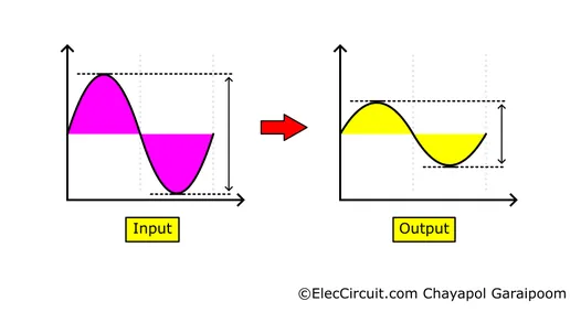 A comparison of the input-output amplitudes of RC networks